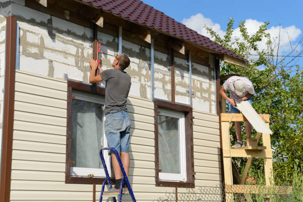 Best Siding Painting and Refinishing  in Pamplico, SC