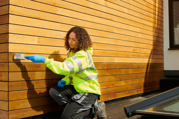Best Stucco Siding  in Pamplico, SC